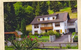 Komfortable Apartments Steger